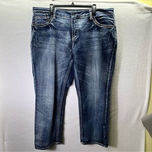 Cato Premium Classic Straight Leg Womens 22w Petite Plus Blue Denim Stretch 2699